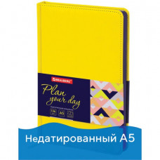 Ежедневник недатированный А5 Brauberg Rainbow 136 листов 111670 (2) в Москве