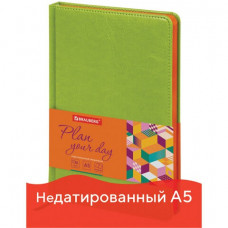 Ежедневник недатированный А5 Brauberg Rainbow 136 листов 111669 (2) в Москве