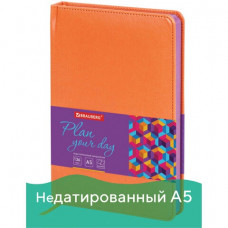 Ежедневник недатированный А5 Brauberg Rainbow 136 листов 111668 (2) в Москве