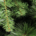 Ель Royal Christmas Montana Slim Tree 65225 (225 см) в Москве купить