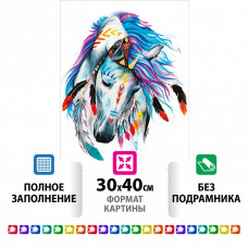 Алмазная мозаика 30х40 см Остров Сокровищ Индейская лошадь без подрамника 662403 (1) в Москве
