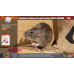 Приманка гранулы Help для уничтожения крыс и мышей 50 г 80291 в Москве купить