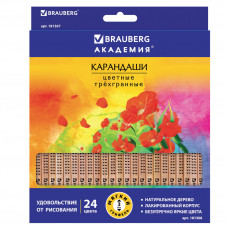 Карандаши цветные трехгранные Brauberg Цветы 24 цвета 181368 (2) в Москве